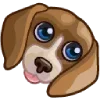 🐶