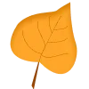 🍂
