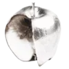 🍎