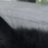 💀