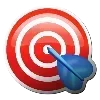 🎯