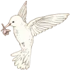 🕊