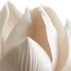 🪷