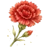 🕊️