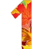 1️⃣