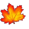 🍁