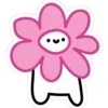 🌺