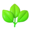 🌱