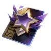 🌟