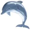 🌊