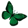 🦋