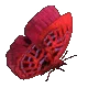 🦋