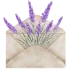 🪻