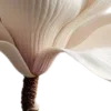 🪷