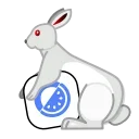 🐰
