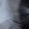 💀