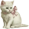 🐈