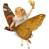 🦋
