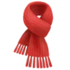 🧣
