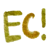 🤎