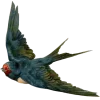 🕊