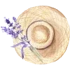 🪻