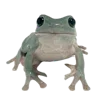 🐸