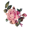 🌹