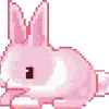 🐇