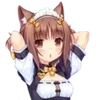 🌟