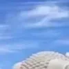 🙂