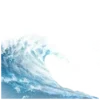 🌊
