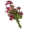🕊️