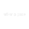 🪙