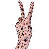 ⭐️