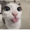 🤩