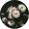 💐