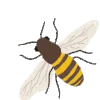🦋