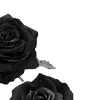 🌹