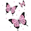 🦋