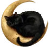 💤