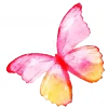 🦋