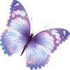 🦋
