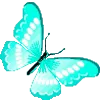 🦋