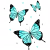 🦋