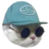 😎