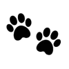 🐾