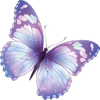 🦋