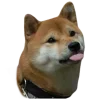 😛