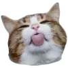 😛